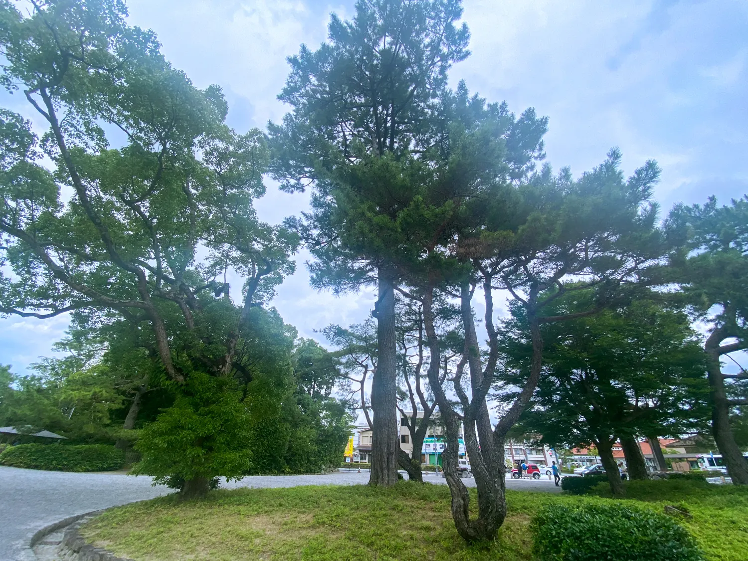 三重県伊勢市の神宮 伊勢神宮外宮「豊受大神宮」2